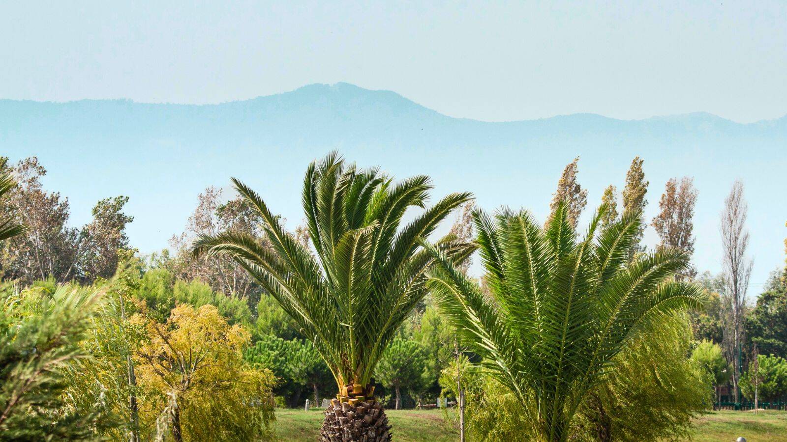 jardin-des-plantes
